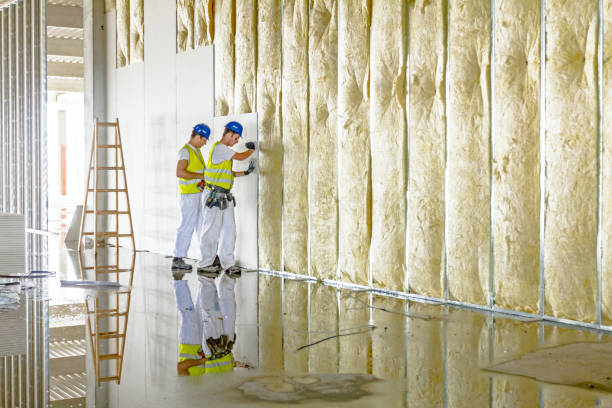 Trusted Caddo, OK Insulation Contractor Experts